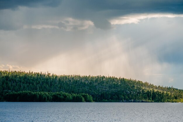 Belle vue sur le lac avec la côte verte