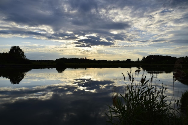 Belle vue sur un lac entouré d'arbres Le lac est entouré d'arbres Oulianovsk Russie