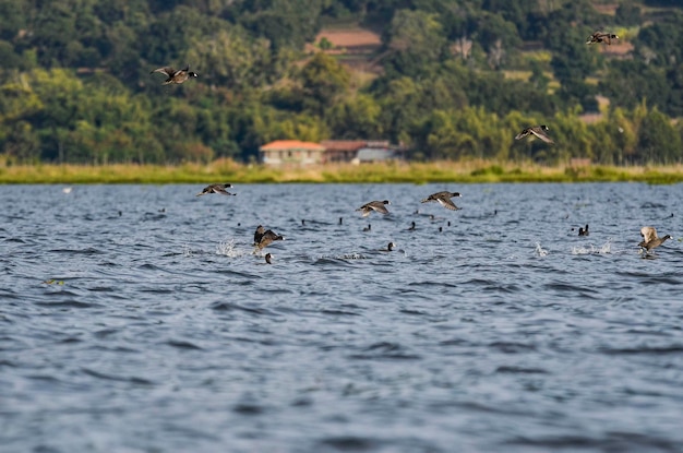 Une belle vue sur le lac Inle Birmanie