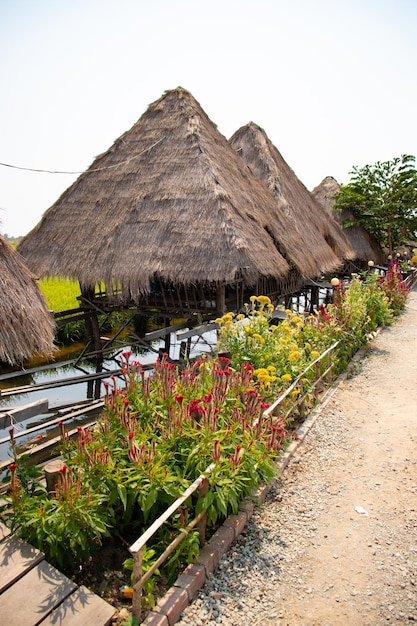 Une belle vue sur Lotus Flower Field Restaurant situé à Siem Reap au Cambodge