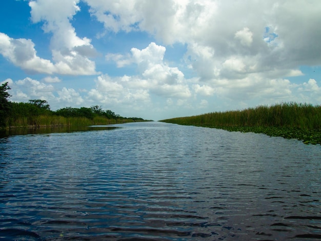 Une belle vue sur le marais des Everglades en été