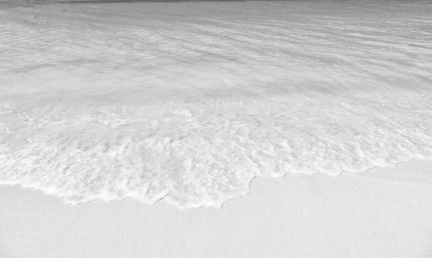 Belle vue marine sur la côte de la mer aribbean avec de l'eau de mer propre et ondulée sur la plage de sable de st john antigua à la journée ensoleillée comme arrière-plan naturel