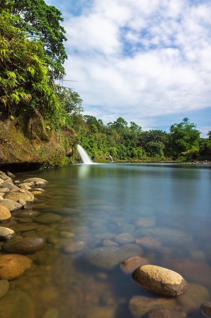 belle vue matinale de l'Indonésie sur les montagnes et la forêt tropicale