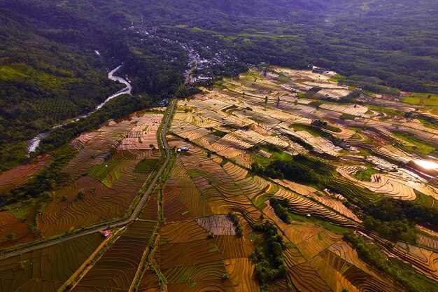 Photo belle vue matinale de l'indonésie sur les montagnes et la forêt tropicale