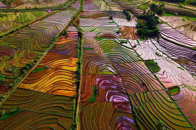 Photo belle vue matinale de l'indonésie sur les montagnes et la forêt tropicale