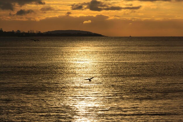 Belle vue sur la mer au lever du soleil