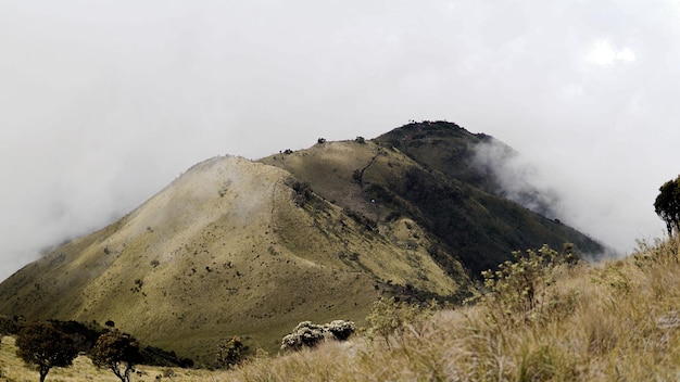 Belle vue sur le Mont Merbabu