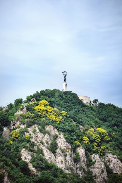 Belle vue sur la montagne et les bâtiments historiques Hongrie Budapest