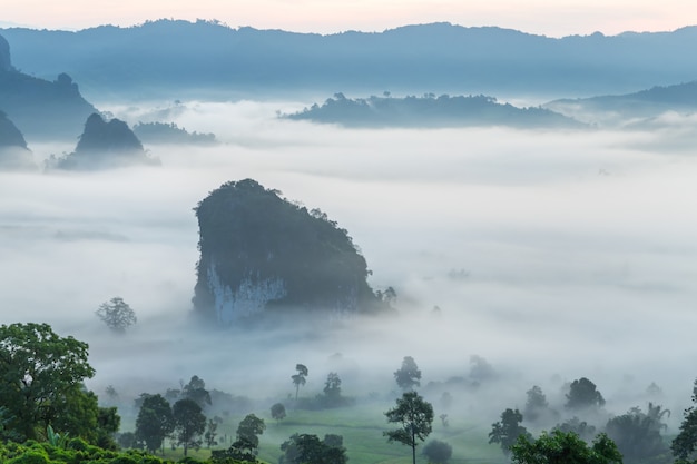 Belle vue sur la montagne du parc national de Phu Langka en Thaïlande