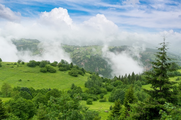 Belle vue sur la montagne sur les Highlands et les arbres