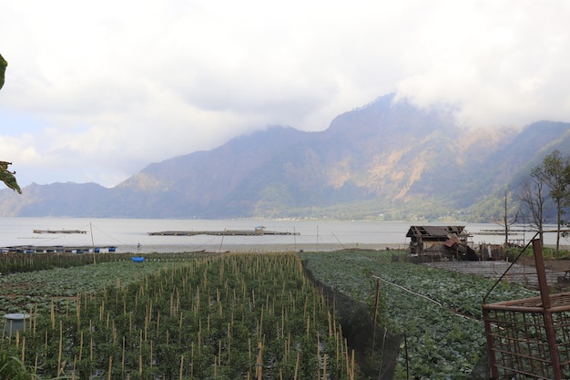 Une belle vue sur la montagne Kintamani située à Bali Indonésie