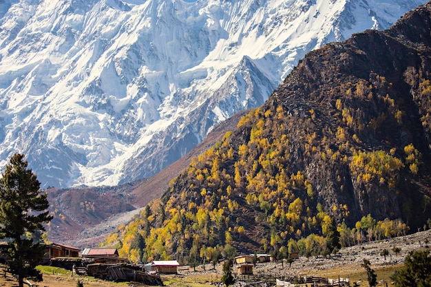 Belle vue sur la montagne Nanga Parbat, photo prise sur le chemin du camp de base Nanga Parbat, Pakista