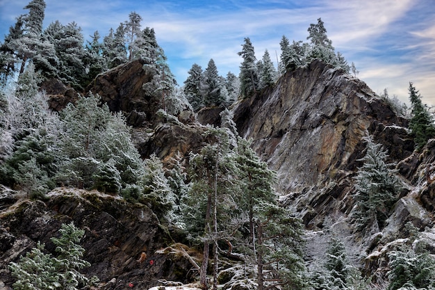 Belle vue sur la montagne - rocher en pierre recouvert de pins et de neige.