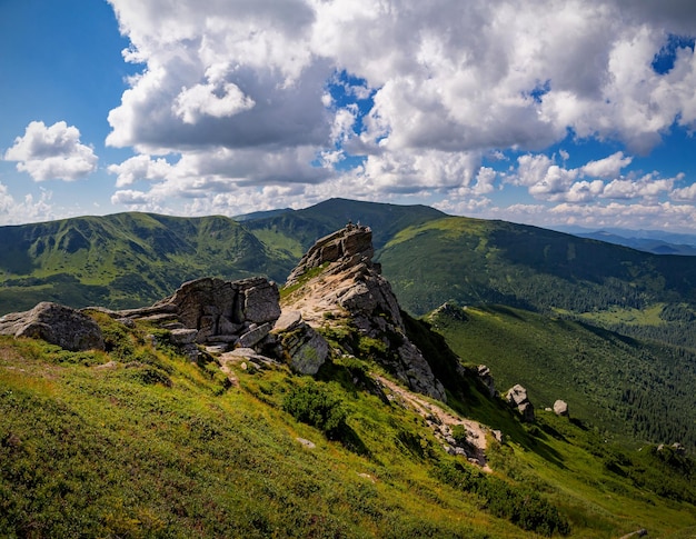 Belle vue sur les montagnes des Carpates en été