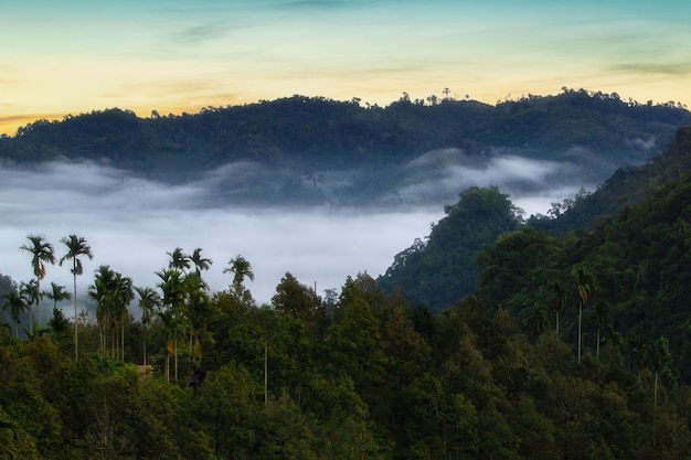 Belle vue sur les montagnes dans la brume au lever du soleil, province de Ranong, Thaïlande