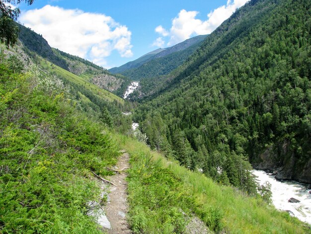 Belle vue sur les montagnes en été Altaï, Russie de