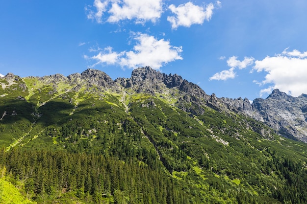 Belle vue sur les montagnes des Hautes Tatras près de Zakopane