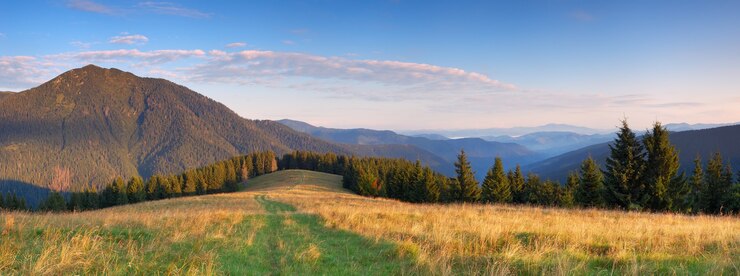 Photo belle vue sur les montagnes et le matin de la pinède