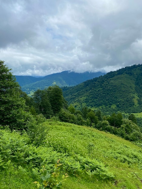 Une belle vue sur les montagnes.