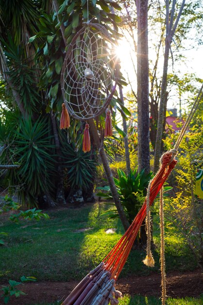 Une belle vue sur la nature à Chapada dos Veadeiros situé à Alto Paraiso Goias Brésil