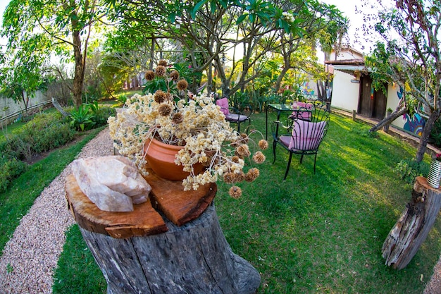 Une belle vue sur la nature à Chapada dos Veadeiros situé à Alto Paraiso Goias Brésil