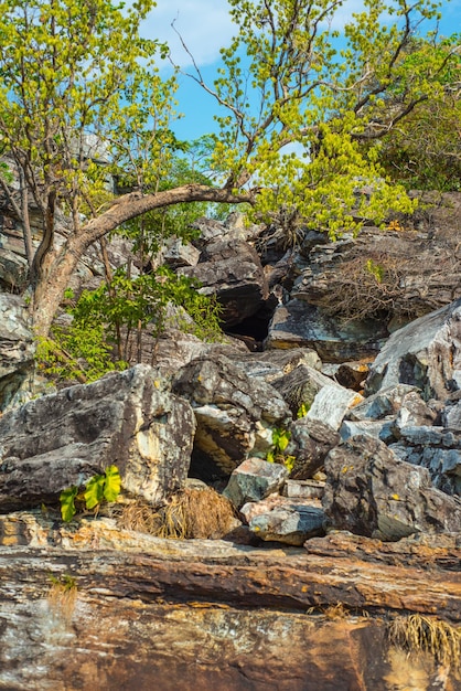 Une belle vue sur la nature à Chapada dos Veadeiros situé à Alto Paraiso Goias Brésil