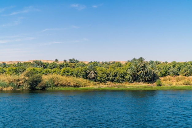 Belle vue sur le Nil et les arbres verts en Egypte Afrique