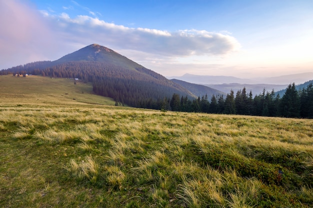 Belle vue paisible de la pente raide herbeuse verte et des petites huttes paysannes rurales au pied de la magnifique montagne des Carpates lointaines en Ukraine par une belle journée d'été ensoleillée.