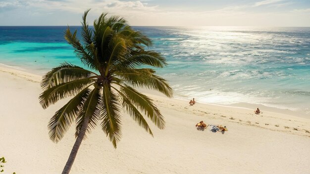 Une belle vue d'un palmier sur le sable blanc idyllique de la plage de l'aigle à Aruba