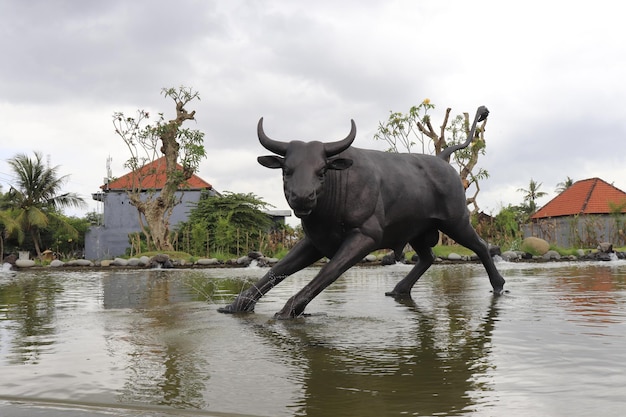 Une belle vue panoramique sur bali indonésie