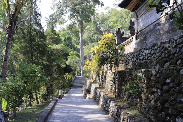 Une belle vue panoramique sur bali indonésie