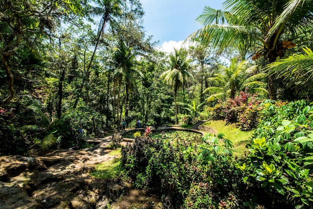 Une belle vue panoramique sur bali indonésie