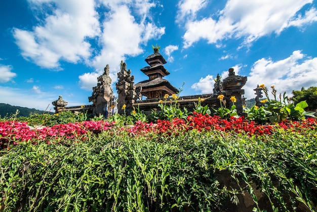 Une belle vue panoramique sur bali indonésie