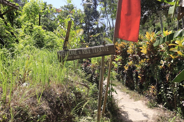 Une belle vue panoramique sur bali indonésie