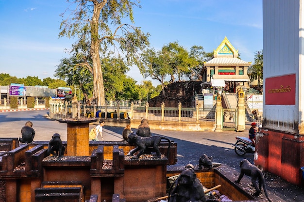 Une belle vue panoramique sur la Thaïlande dans un voyage en train