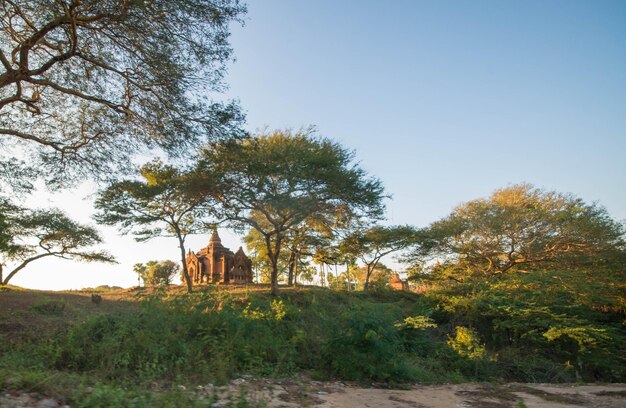 Une belle vue panoramique sur la ville de Bagan au Myanmar