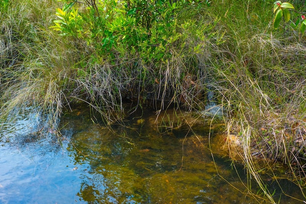 Une belle vue sur le parc Chapada dos Veadeiros situé à Alto Paraiso Goias Brésil