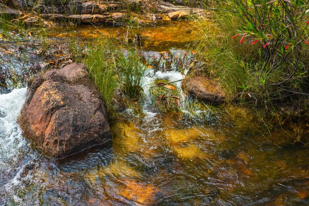 Une belle vue sur le parc Chapada dos Veadeiros situé à Alto Paraiso Goias Brésil