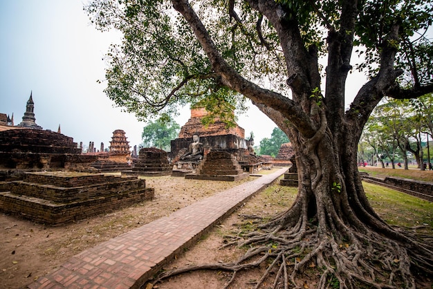 Une belle vue sur le parc historique de Sukhothai situé en Thaïlande