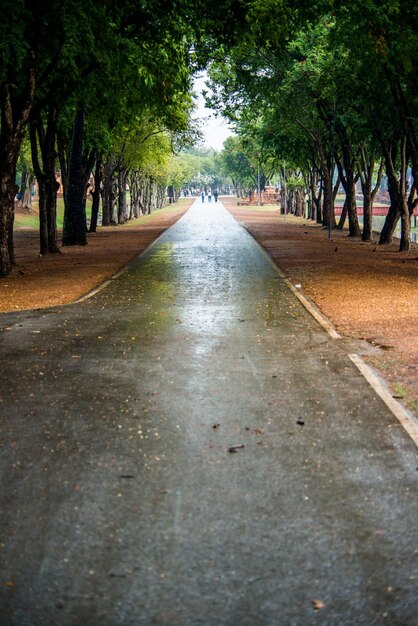 Une belle vue sur le parc historique de Sukhothai situé en Thaïlande