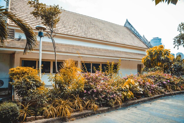 Une belle vue sur le parc Lumpini situé à Bangkok en Thaïlande