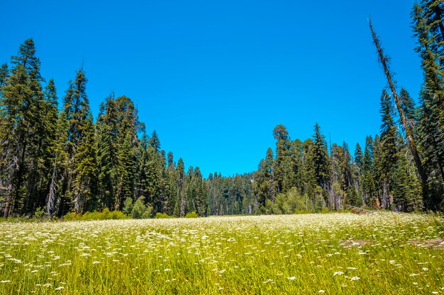 Belle vue sur un parc national