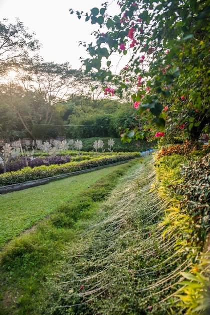 Une belle vue sur le parc à Yangon Myanmar