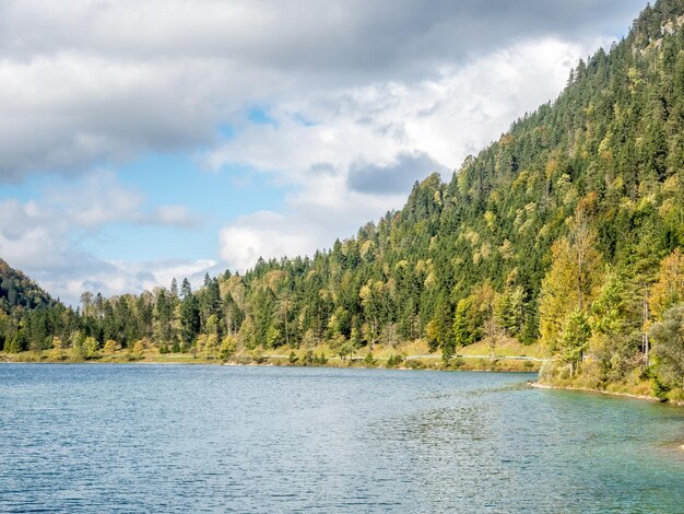 Belle vue sur le paysage de l'Allemagne