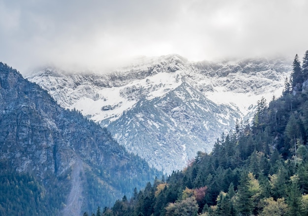 Belle vue sur le paysage de l'Allemagne