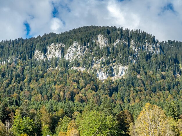 Belle vue sur le paysage de l'Allemagne