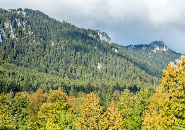 Belle vue sur le paysage de l'Allemagne