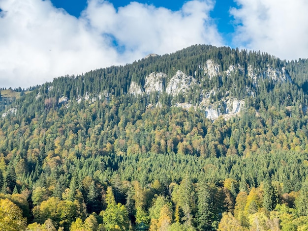 Belle vue sur le paysage de l'Allemagne