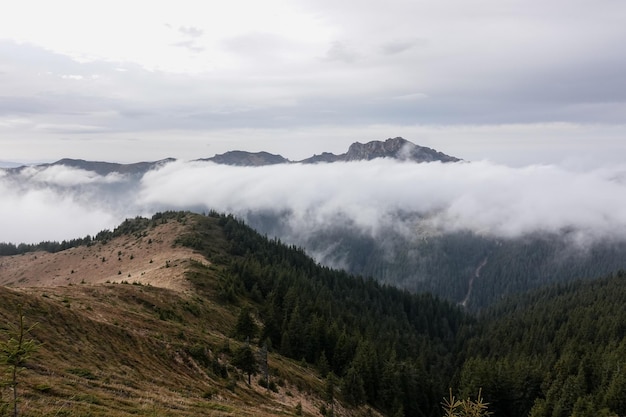 Belle vue de paysage au-dessus des montagnes de Ciucas en Roumanie