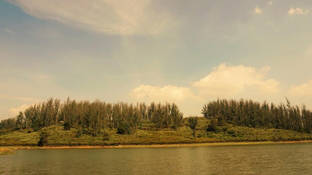 Belle vue sur le paysage du lac Sandynulla à partir de la forêt de pins Ooty Tamilnadu Inde